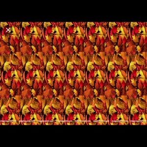 Meet your Posher, Dylan